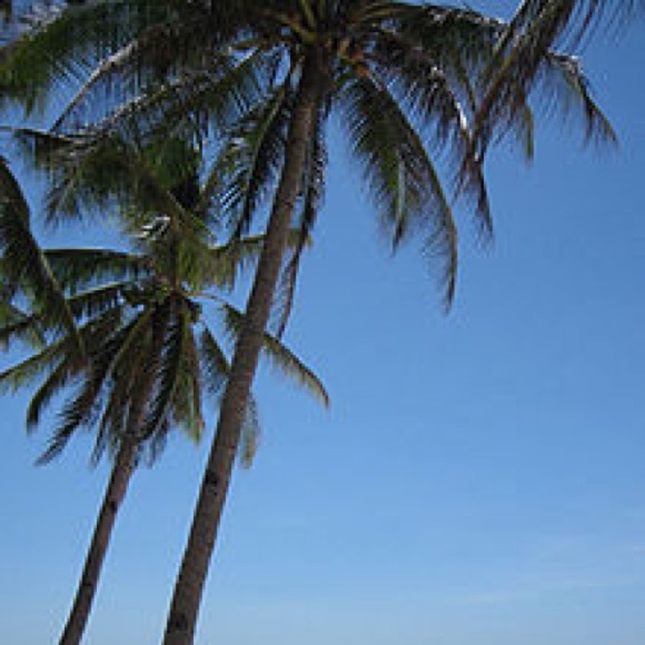 Meet your Posher, Mandy - Picture 1 of 1